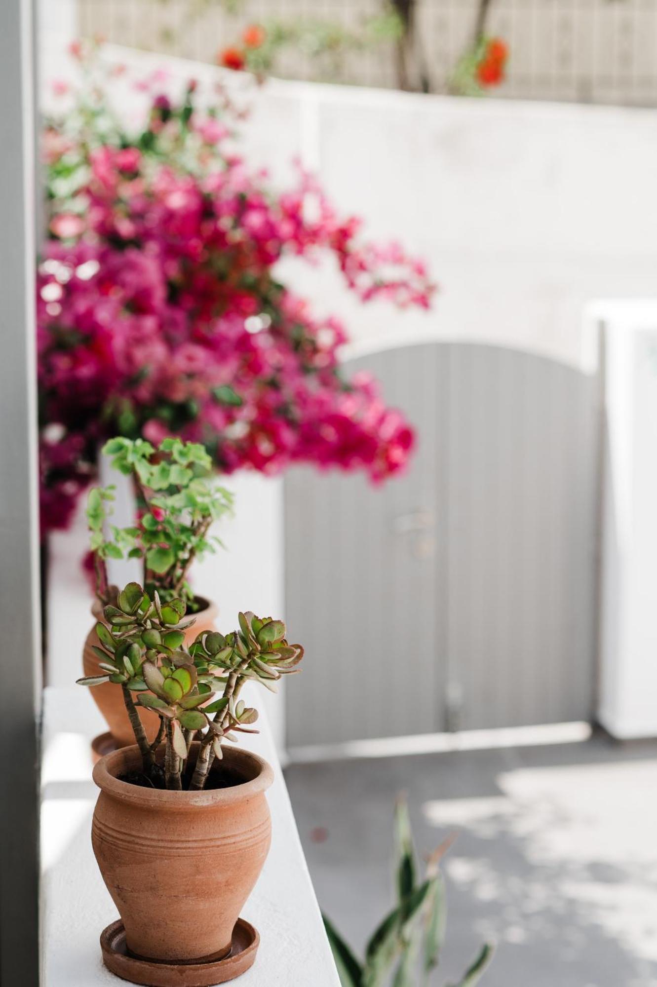 Amphitrite Suites Santorini Vóthon Kültér fotó